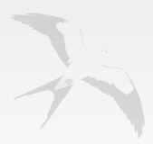 Logo of Swallow Barn - online furniture shop.